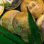 Comienza una Nueva Historia Invirtiendo en Criptomonedas